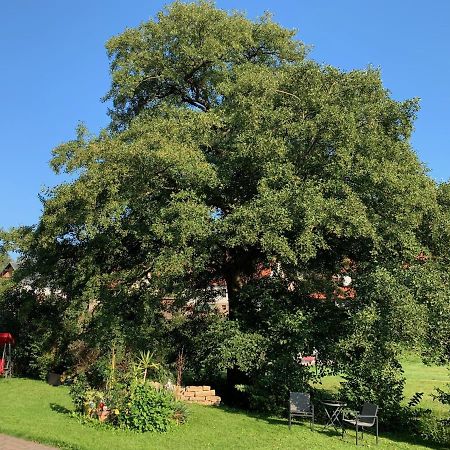 Ferienwohnung Am Rennsteig Bei Eisenach - Ilona Schmidt Wolfsburg-Unkeroda Kültér fotó