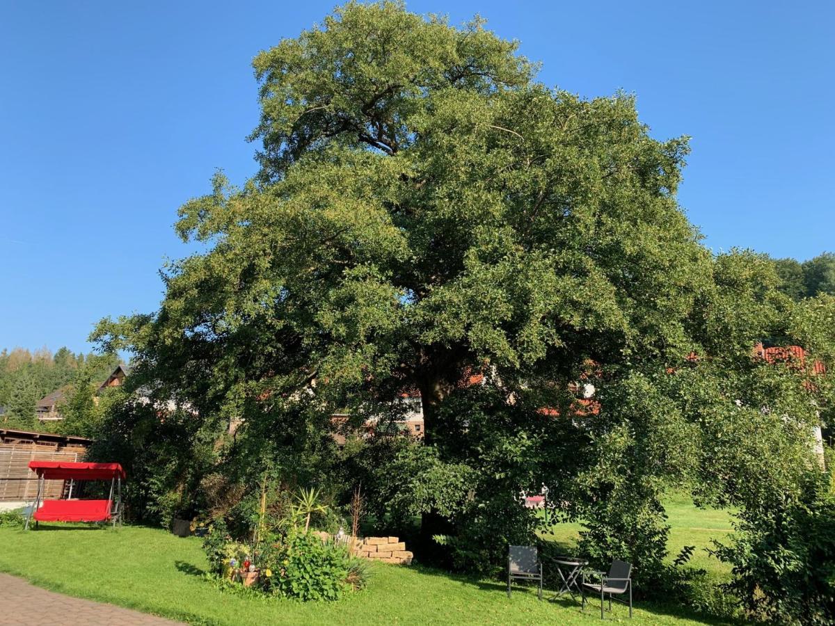 Ferienwohnung Am Rennsteig Bei Eisenach - Ilona Schmidt Wolfsburg-Unkeroda Kültér fotó